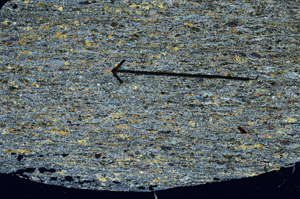 Cross Polarized, S88986