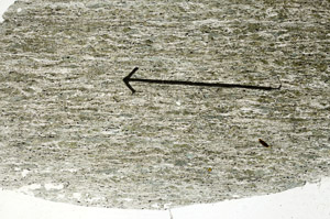 Plane Polarized, S88986