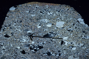 Cross Polarized, S88989