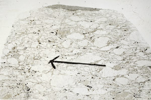 Plane Polarized, S88989