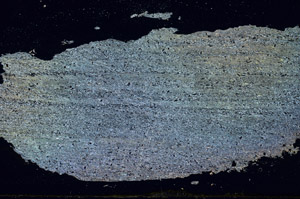 Cross Polarized, S88990