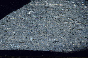 Cross Polarized, S88991