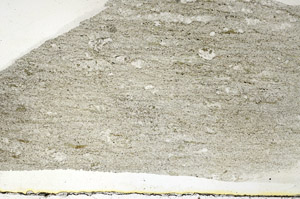 Plane Polarized, S88991