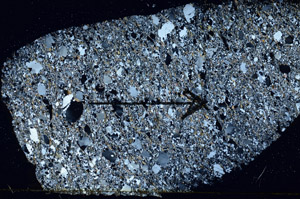 Cross Polarized, S88992