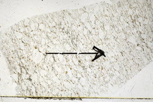 Plane Polarized, S88992
