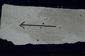 Cross Polarized, S88994