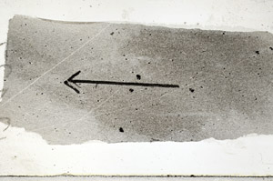 Plane Polarized, S88994