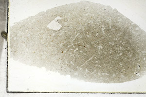 Plane Polarized, S88996