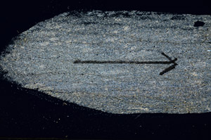 Cross Polarized, S88998