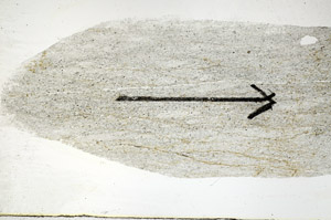 Plane Polarized, S88998