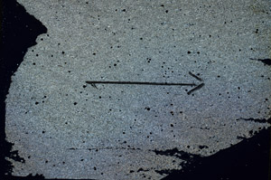 Cross Polarized, S88999