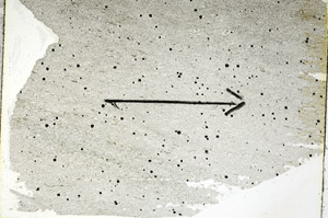 Plane Polarized, S88999