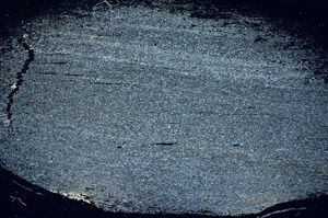 Cross Polarized, S89008