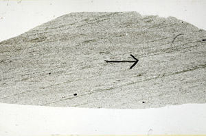 Plane Polarized, S89023