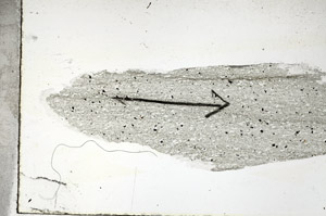 Plane Polarized, S89028
