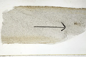 Plane Polarized, S89029