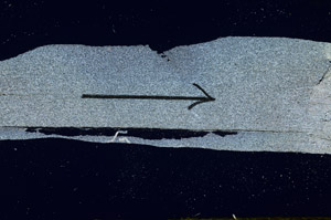 Cross Polarized, S89031