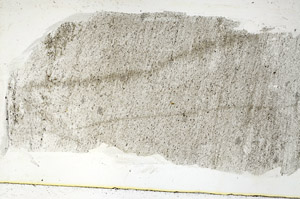 Plane Polarized, S89032