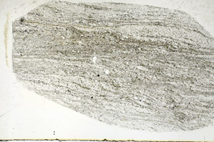 Plane Polarized, S89037