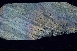 Cross Polarized, S89038