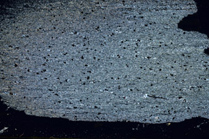 Cross Polarized, S89039