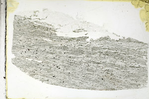 Plane Polarized, S89043