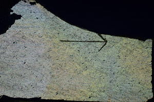 Cross Polarized, S89048