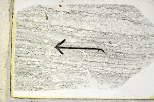 Plane Polarized, S89051