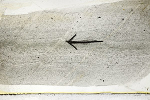 Plane Polarized, S89053