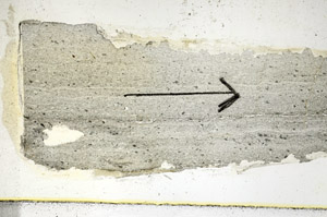 Plane Polarized, S89054