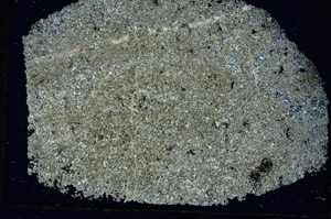Cross Polarized, S89055
