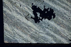 Cross Polarized, S89057