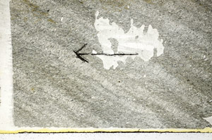 Plane Polarized, S89057