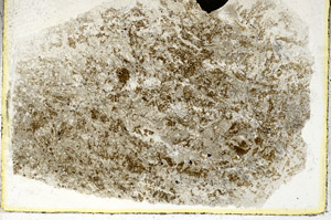 Plane Polarized, S89060