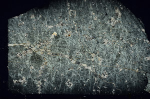 Cross Polarized, S89063