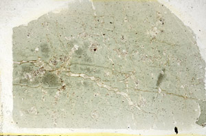Plane Polarized, S89063
