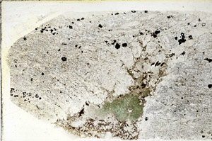 Plane Polarized, S89069