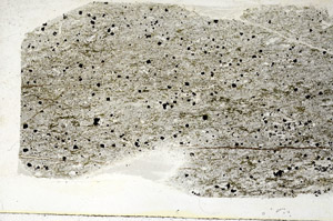 Plane Polarized, S89070