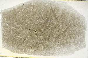 Plane Polarized, S89072