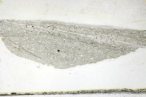Plane Polarized, S89077