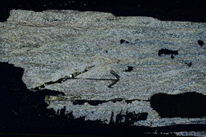 Cross Polarized, S89078