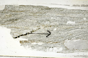 Plane Polarized, S89078