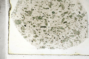 Plane Polarized, S89079