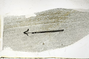 Plane Polarized, S89080