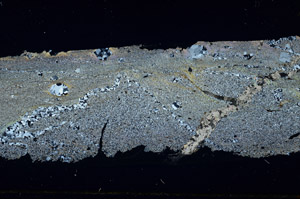 Cross Polarized, S89084