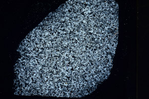 Cross Polarized, S89087