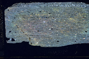 Cross Polarized, S89089