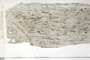 Plane Polarized, S89089