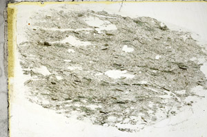 Plane Polarized, S89091