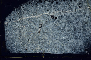 Cross Polarized, S89092